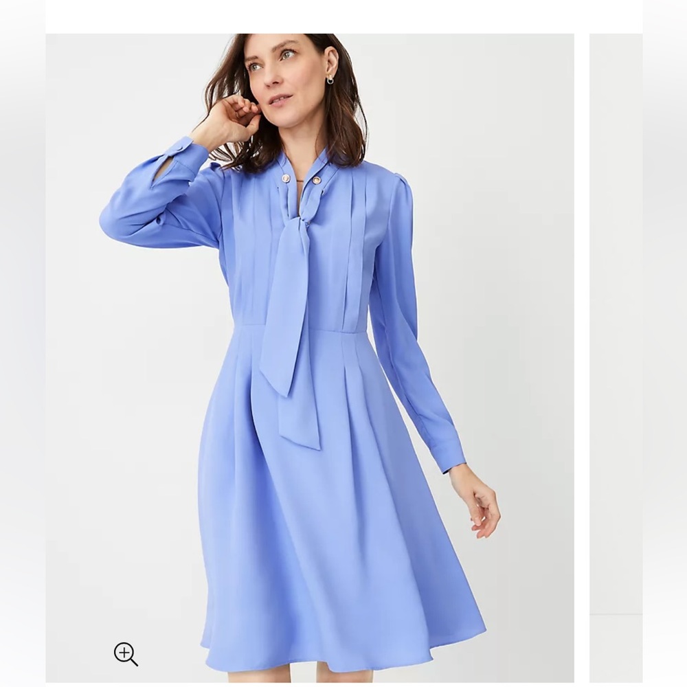 Ann Taylor Chain Tie Neck Pleated Flare Dress